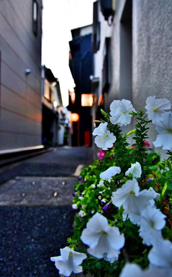 Chika Miyabi Villa Kyoto Exterior photo